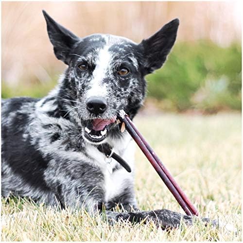Premium Bully Sticks for Dogs | Dental Chews to Support Canine Health