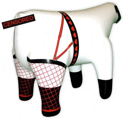 Amazon Com Muttonbone Productions Inc The Original Love Ewe The Inflatable Love Sheep Toys Games