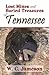 Lost Mines and Buried Treasures of Tennessee (Lost Mines and Buried Treasures series) primary