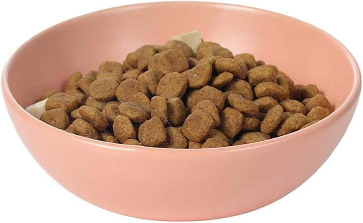 target dog water bowl