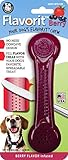 Pet Qwerks Flavorit -Berry Flavored Nylon Bone for Aggressive Chewers (Made in the USA)