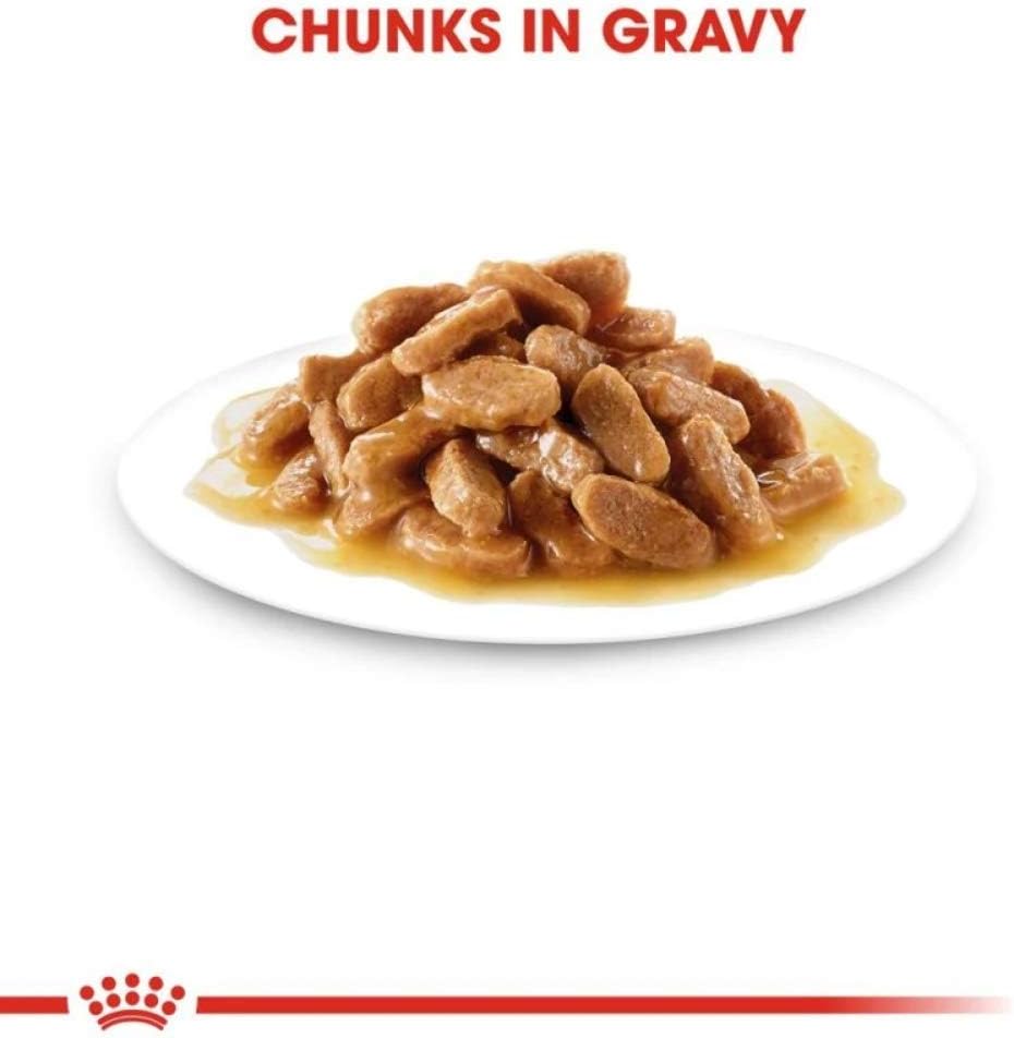 Royal Canin Medium Puppy in Gravy Wet Food (10 x 140g Pouches), 1.4 kg (Pack of 1) - Image 5