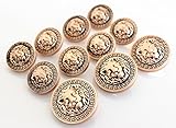 YCEE 11 Pieces Gold Vintage Antique Metal Blazer Button Set (weighty) - 3D Lion Head - For Blazer, Suits, Sport Coat, Uniform, Jacket