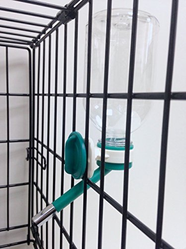 2 Choco+Nose+Patented+Hamster+Diameter