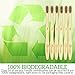 Lingito 6-Pack Natural Charcoal Bamboo Toothbrushes | BPA Free Soft Bristles | Compostable, Eco Friendly, Natural, Organic & Vegan Toothbrush Pack | Individually Packaged & Numbered Active Brushes