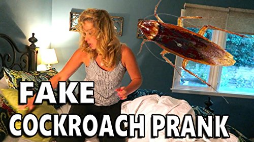 Dave Stott's Ultimate Prank Kit