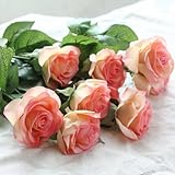 IPOPU 10 Pcs Romantic Real Touch Artificial False Latex Silk Blooming Roses Bouquet Floral Leaf for Home Wedding Party Garden Bridal Hydrangea Decorations DIY (Champagne Rose)