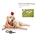 Dog Toys 12 Pack Gift Set-SUMGOTT Ball Rope and Chew Ropes Toys for Medium to Small Pet Teething Toys