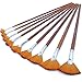DUGATO Artist Fan Paint Brushes Set 9pcs - Soft Anti-Shedding Nylon Hair Wood Long Handle Paint Brush Set for Acrylic Watercolor Oil Gouche Painting