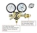 SÜA Nitrogen Gas Regulator 0-600 PSIG - HVAC Purging - Pressure Charge - 1/4