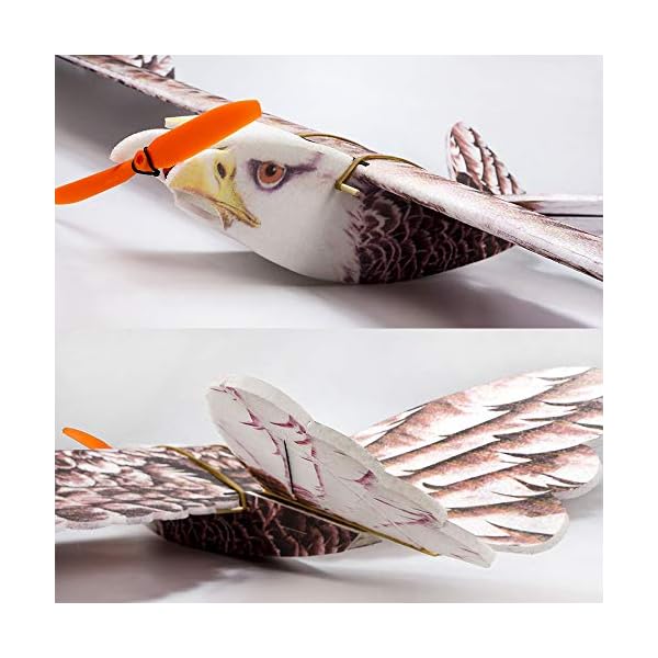 Mobiliarbus E1904 EPP RC Flugzeug Eagle Flugzeug 1430mm Elektroflugzeug Zerlegt PNP Version DIY Flugmodell – Bild 6