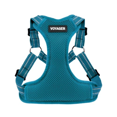 Voyager Adjustable Dog Harness with Reflective Stripes by Best Pet Supplies, Heavy-Duty Full Body No Pull Vest with Leash D-Ring, Breathable, Turquoise, size L
