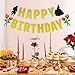 Joymee Beauty and The Beast Inspired Banner, Belle Happy Birthday Rose Garland Kids Baby Shower Princess Party Decorations