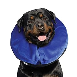 KONG - Cloud Collar - Plush, Inflatable E-Collar