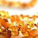 Little Willard Baltic Amber Teething Necklace (Honey Raw)