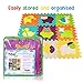Foam Puzzle Play Mat, Tomi Baby Playmat with 9 Soft Interlocking Floor Tiles for Infants, Toddlers and Kids-Great Mats for Crawling and Playing -Vibrant Animal Shapes- Non Toxic
