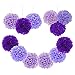 Paper Pom Poms Tissue Paper Flowers Purple Mysterious Flower Balls Wedding, Birthday Party, Baby Shower Pack of 12pcs