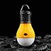 Goofy 2 Pack Portable LED Lantern Tent Light Bulb for Camping Hiking Fishing Emergency Light, Battery Powered Camping Equipment Gear Gadgets Lamp for Outdoor & Indoor ÿ