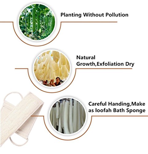 2 Pack Exfoliating Long Loofah Sponge Back Scrubber for Shower, Luffa Back Sponge for Women and Men