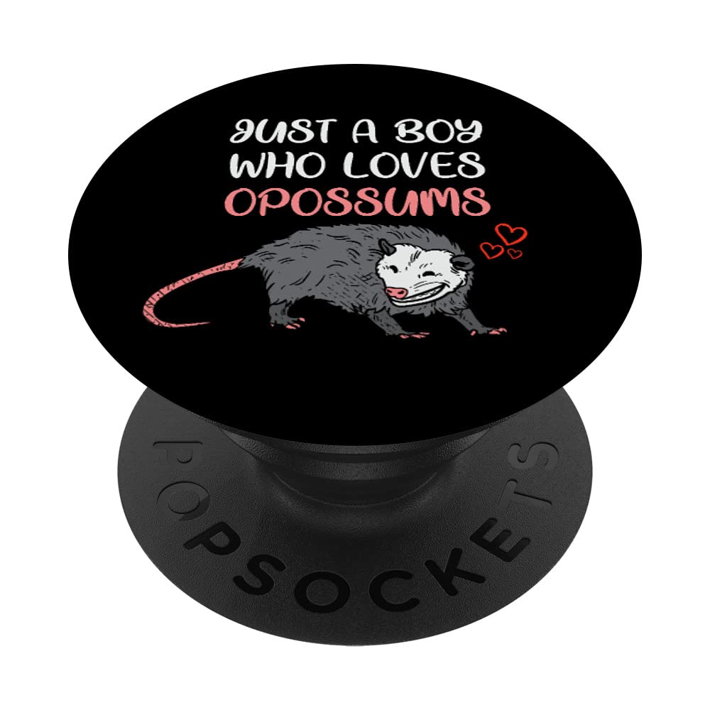 Just A Boy Who Loves Opossums Possum Lover PopSockets Swappable PopGrip