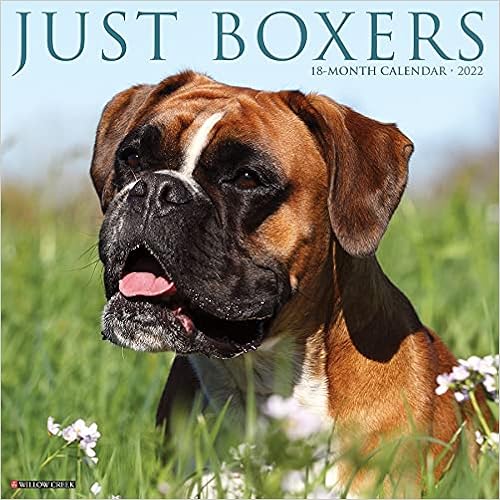 Just Boxers 2022 Wall Calendar (Dog Breed): Willow Creek Press: 9781549217104: Amazon.com: Books