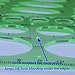 Oval Template for Drawing, Drafting and Creating by Rockwell Galleries - for Home, Office, Creative Studio or Personal Drawing and Drafting.