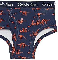 Calvin Klein Boys' Modern Cotton Assorted Briefs