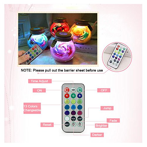 Denshine Preserved Flowers, Eternal Flowers with Light Preserved Flower Rose Eternal Flower Wishing Bottle with Remote Control Creative Gifts-Blue