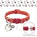 Christmas Breakaway Cat Collar 3 Piece Set with Beautiful Cute Bells and Pendant Nylon Collars for Cats Kitten Red Green Blue