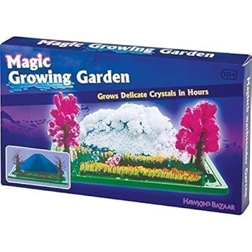magic growing garden crystal set