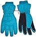 N'Ice Caps Women's Cold Weather Thinsulate and Waterproof Bulky Ski Gloves with Ridges