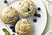 Diabetic Friendly Blueberry Muffin Baking Mix: 13.5 Oz - Low Net Carb & Calorie Desserts - High Protein & Fiber Breakfast, Snacks Treats (1 Box)