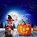 LAWOHO Pet Halloween Costume - Vampire Cloak and Wizard Hat for Holiday Cosplay Party Pet Apparel Suit Cute Kitten Puppy Cape Clothes Suitable for Small Cat Dog Parrots 2 Packs Red Black Decorations