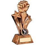 JR11-RF528B Brz/Gold Resin Martial Arts Fist Trophy - (1in Centre) 7in Includes Free Engraving (Up to 30 Characters)