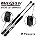 2 Pcs Rear Tailgate Lift Supports Shocks Struts Dampers Compatible With 2003-2005 Audi Allroad Quattro Tailgate 6527,SG301041,4B9827552N