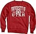 NCAA Sanded Fleece Crew Neck