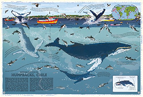 Atlas of Animal Adventures: A collection of nature's most unmissable events, epic migrations and extraordinary behaviours - Thumbnail 6