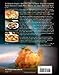 Everyday Paleo Around the World: Italian Cuisine: Authentic Recipes Made Gluten-Free