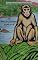 Livro O MACAQUINHO ESPERTO