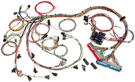 Painless Wiring 60508 99-02 GM LS1 Fuel Inj. Wiring Harness