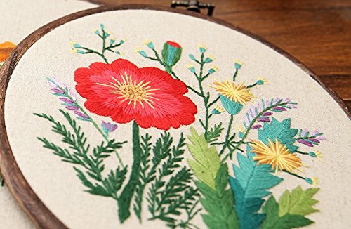 Cross Stitch Stamped Embroidery Kit - Eafior DIY Beginner Counted Starter Cross Stitch Kit for Art Craft Handy Sewing Including Color Pattern Embroidery Cloth,Embroidery Hoop,Color Threads,Tools Kit