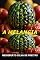 Livro A Melancia