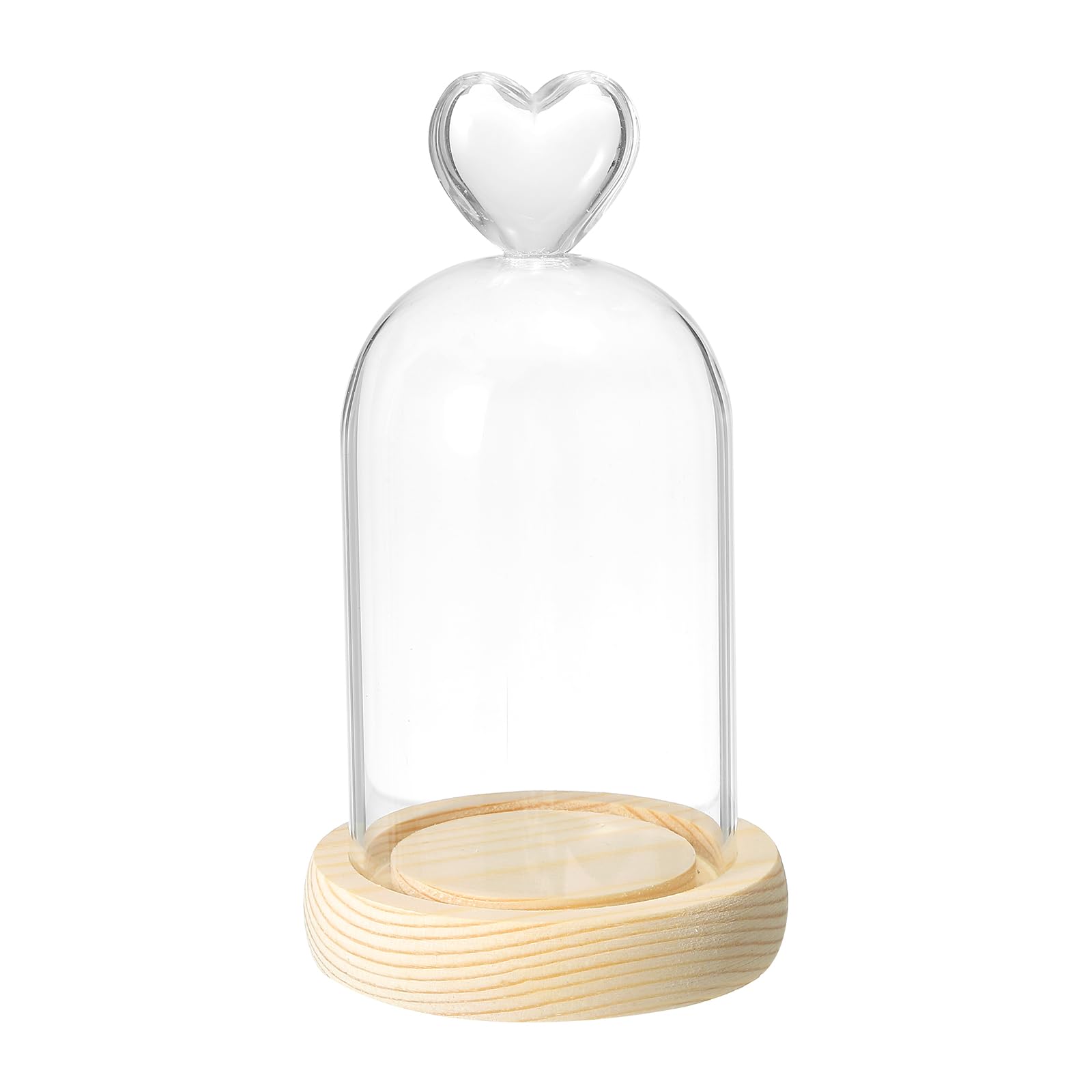 PATIKIL 3.9"x2.4" Glass Dome Cloche, Clear Glass Bell Jar Display Case Tabletop Centerpiece with Wooden Base for Plants Home Decor, Natural