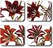 Jason Amaryllis Placemats - Set of 4 (Large)