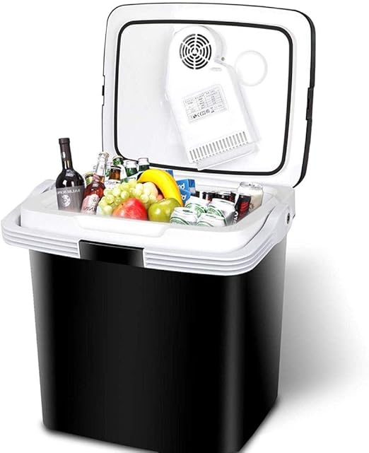 electric car cooler and warmer