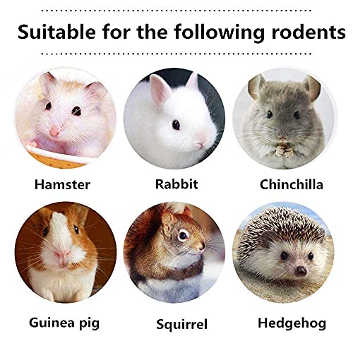 Dbeans Flourithing 150g 3 Types of Combined Chew Toys Molar Sticks