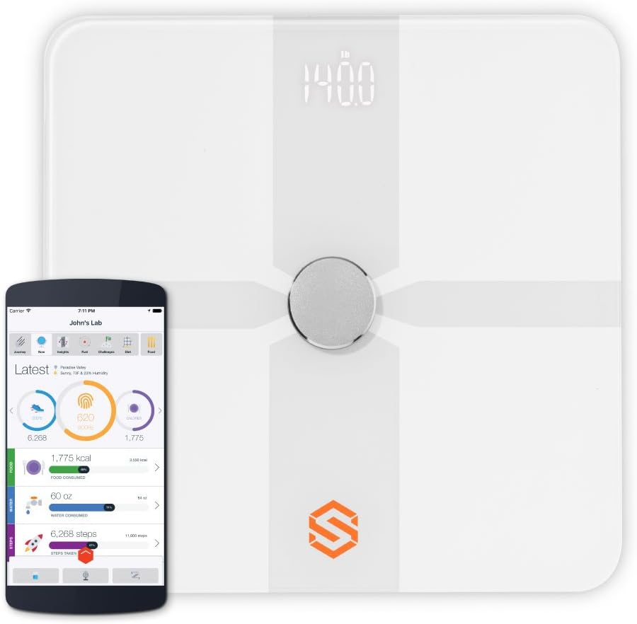 Wireless Digital Bathroom Body Composition Scale with Large Display for Body Weight Body Fat Muscle Mass BMI Bone Mass Water Content etc. iOS and Android App + Free Protein Powder Packs