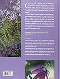 Image de Plantes de Méditerranée : Composez votre jardin de couleurs