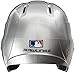 Rawlings R16 Series Metalllic Baseball Batting Helmet