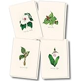 Earth Sky + Water - Woodland Wildflower Assortment Notecard Set - 8 Blank Cards with Envelopes (2 each of 4 styles)